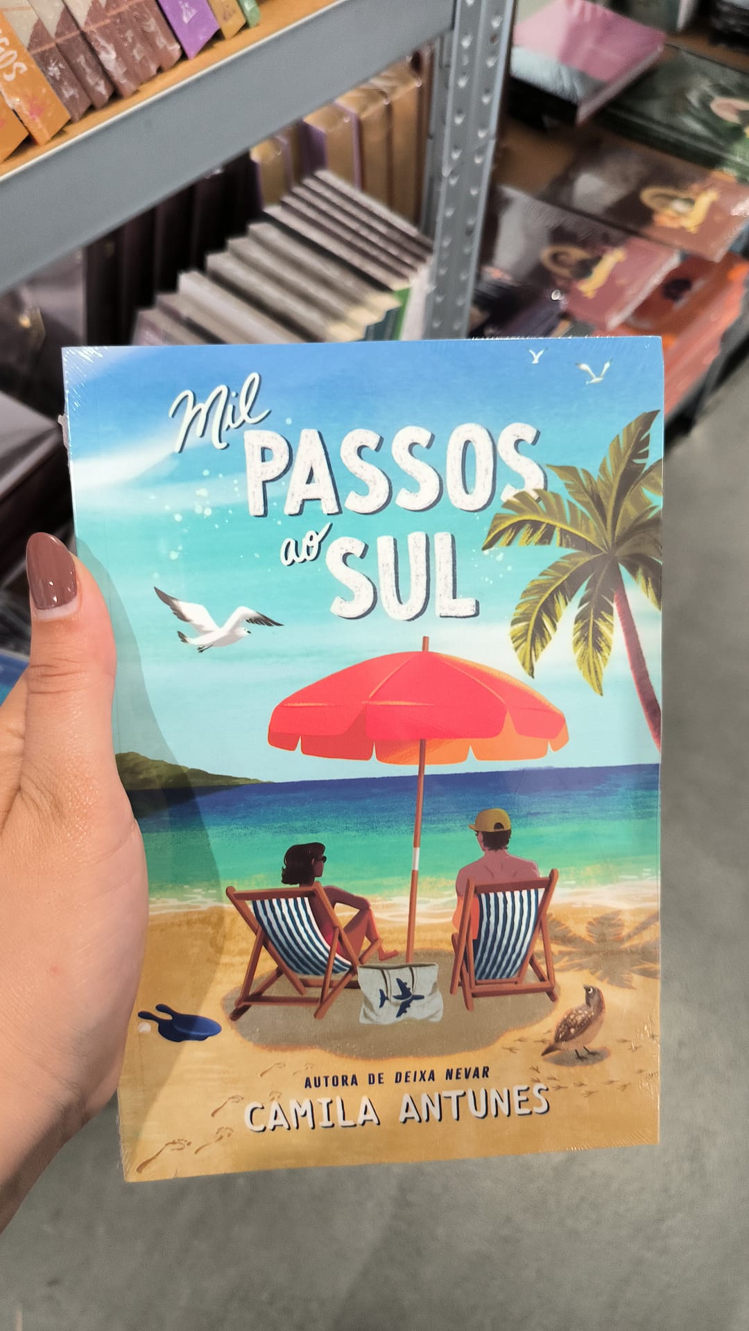 Mil Passos ao Sul — Camila Antunes